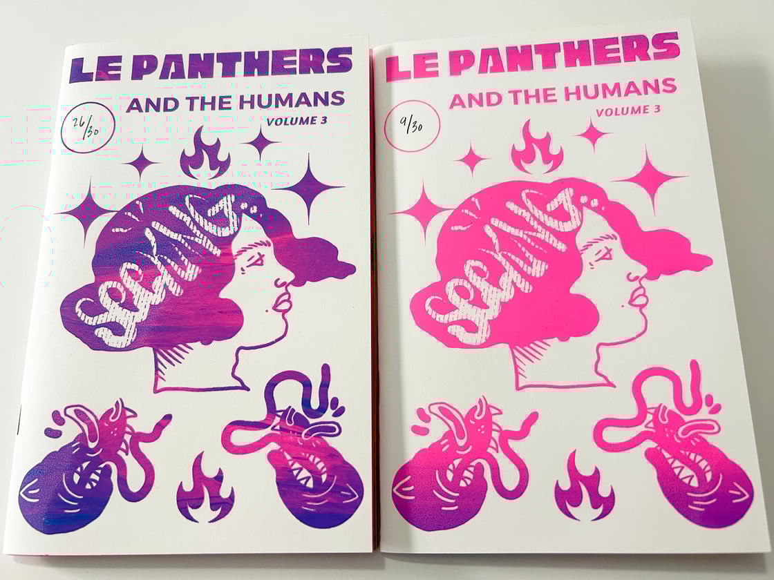 Image of 3rd Edition of Le Panthers and The Humans Zine