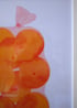 Valencia Oranges Image 4