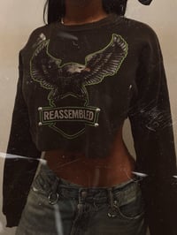 Image 3 of R eagle thrashed cropped thermal 