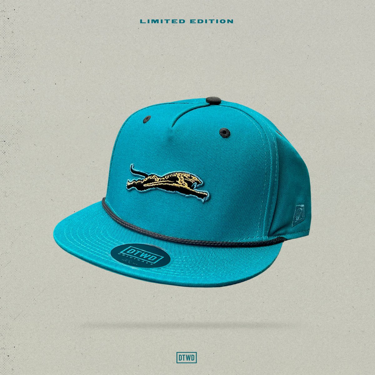 Image of The Leap - all teal - flatbill 5 panel