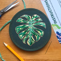 Image 1 of Monstera Leaf 5" Botanical Embroidery Kit 