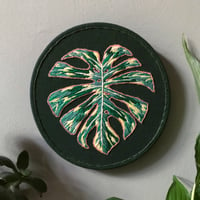 Image 3 of Monstera Leaf 5" Botanical Embroidery Kit 