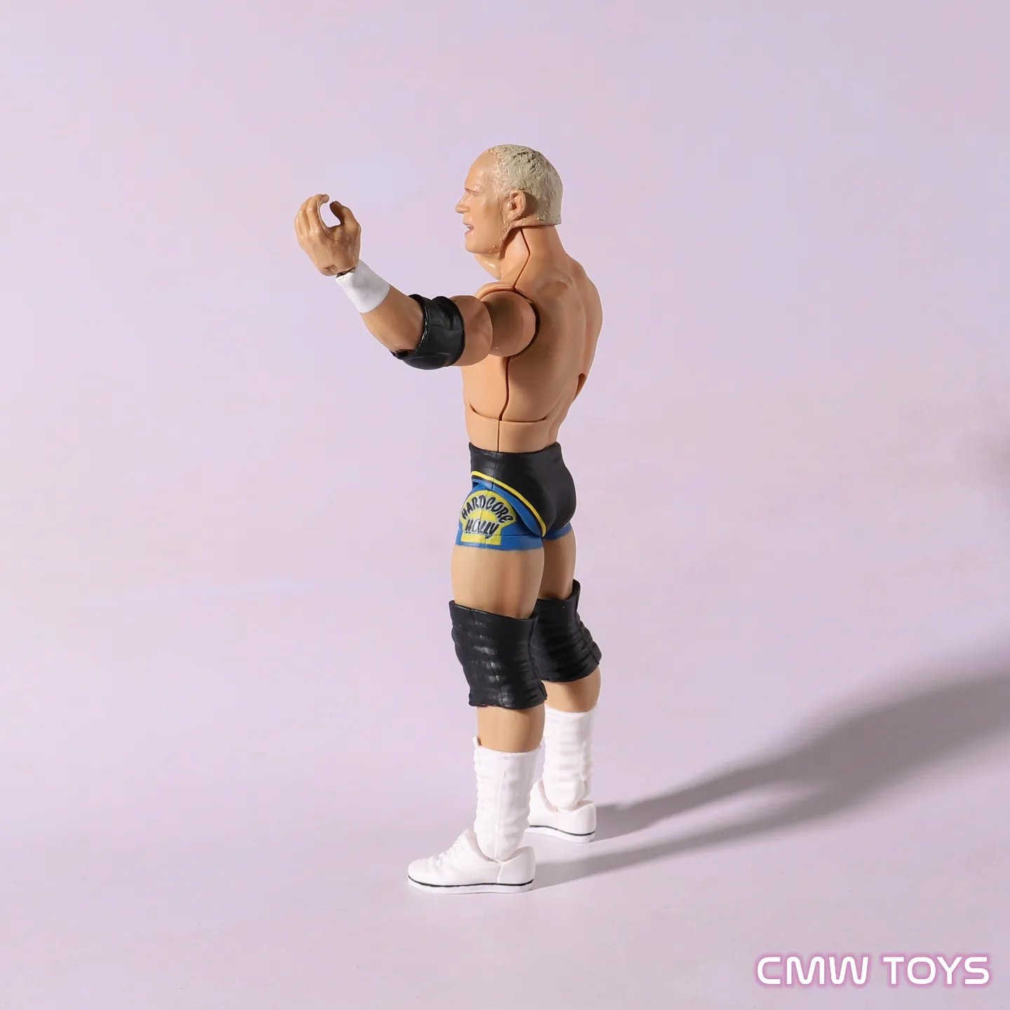 Harcore Holly Custom - pre order | CMW TOYS