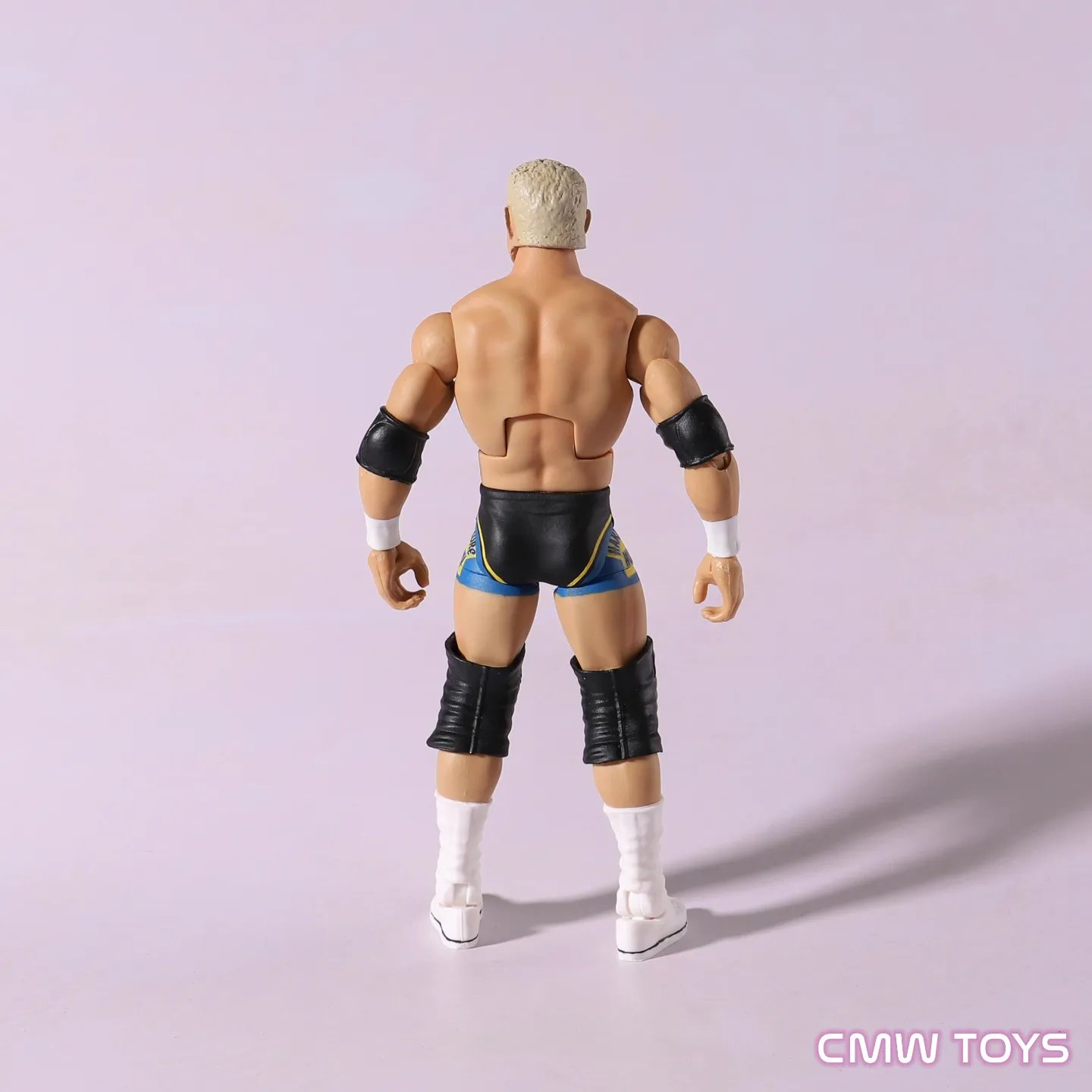 Harcore Holly Custom - pre order | CMW TOYS