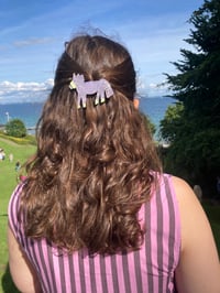 Image 1 of Pony Hair Clip