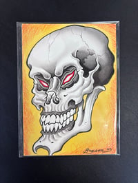 Skull