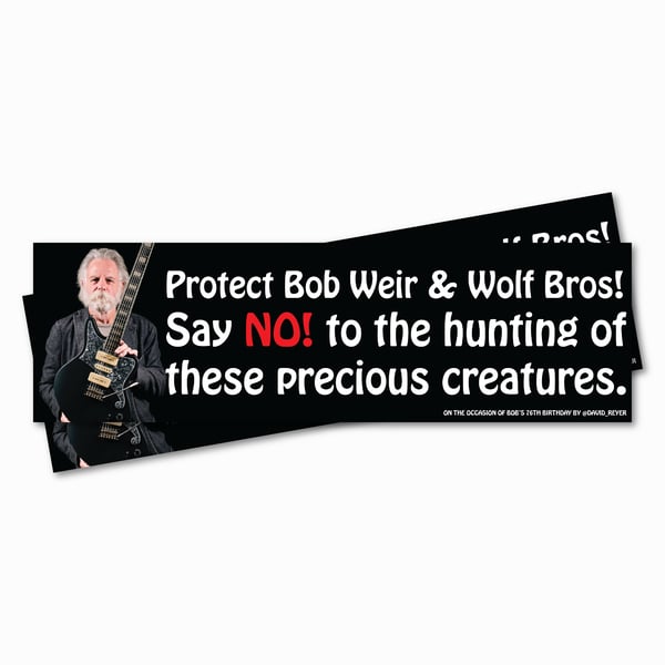 Image of Protect Bob bumper sticker (2 pack, ships free)