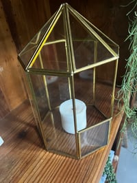 Image 1 of Dome Glass Tearrarium