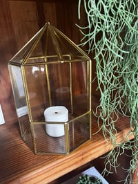 Image 3 of Dome Glass Tearrarium