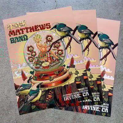 Image of DMB Irvine Posters