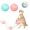 Image of Smart Spin ball