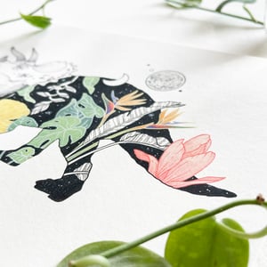 Image of Botanical Triceratops, fine art print