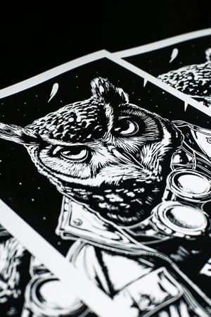 Image of Aviary Knight A4 Limited edition print