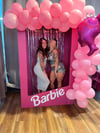The Barbie Box