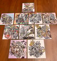 Exquisite Variants series 2 