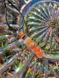 Image 5 of Tall Jar Necklaces