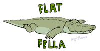 Flat Fella Friday