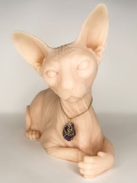 Image 1 of Shooting Star Amethyst