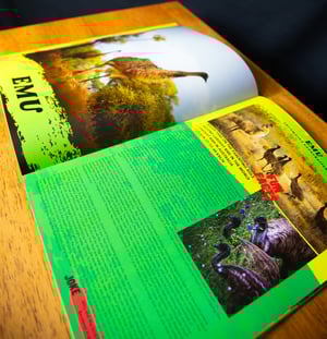Image of Neil Bloem's Australian Wildlife ISSUE THREE (2023)