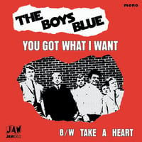 Image 1 of THE BOYS BLUE "You Got What I Want" 7" single JAW062 