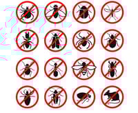 The Future of Pest Control: 7 Innovations and Trends to Watch in 2023 and Beyond