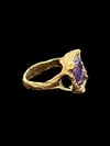 Grotto Ring - Purple Claw