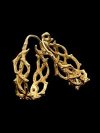 Image 4 of Thorn Hoops 