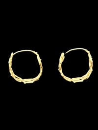 Image 5 of Thorn Hoops 