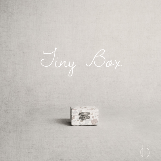 Image of Tiny Box
