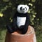 Image of Bamboo