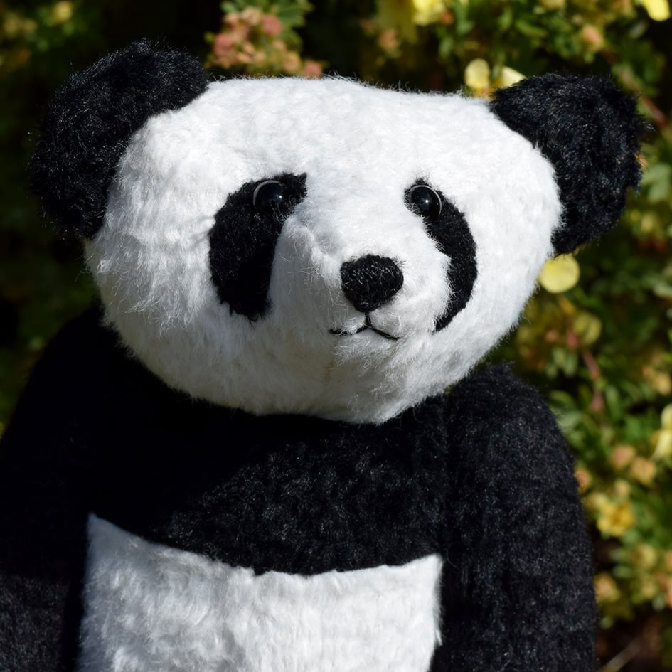 Image of Bamboo
