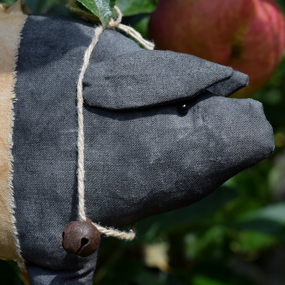 Image of Porcini