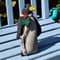 Image of Zoobie