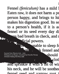 Image 2 of In the Mirror of Care Work