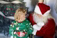Santa Mini ($200)