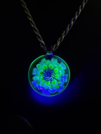 Image 2 of UV reactive glow flower with royal jelly bale.