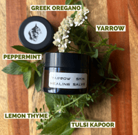 Image 1 of Yarrow Skin Healing Salve