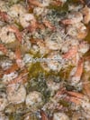 Chef Chini Famous Garlic Parmesan Shrimps
