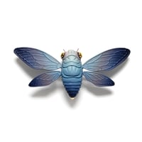 Image 1 of Cicada (teal/openwings) by Calvin Ma X Erika Sanada