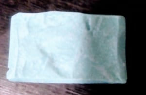 Image of Himalayan Eucalyptus