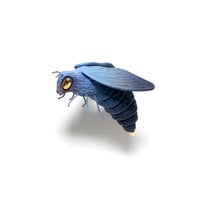 Image 1 of Bee (blue) by Calvin Ma X Erika Sanada