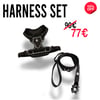 BAD GUYS KIT | HARNESS BLACK 3