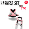 BAD GUYS KIT | HARNESS PINK 3