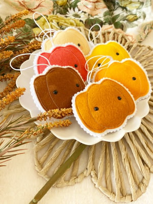 Image of Mini pumpkins
