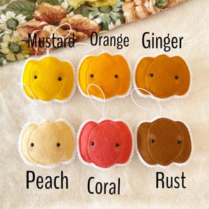 Image of Mini pumpkins