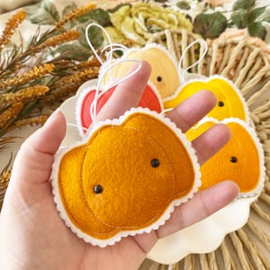 Image of Mini pumpkins