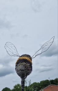 Image of Wire Bees