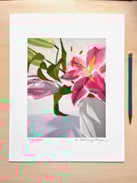 Image 1 of 'Stellar'- archival print