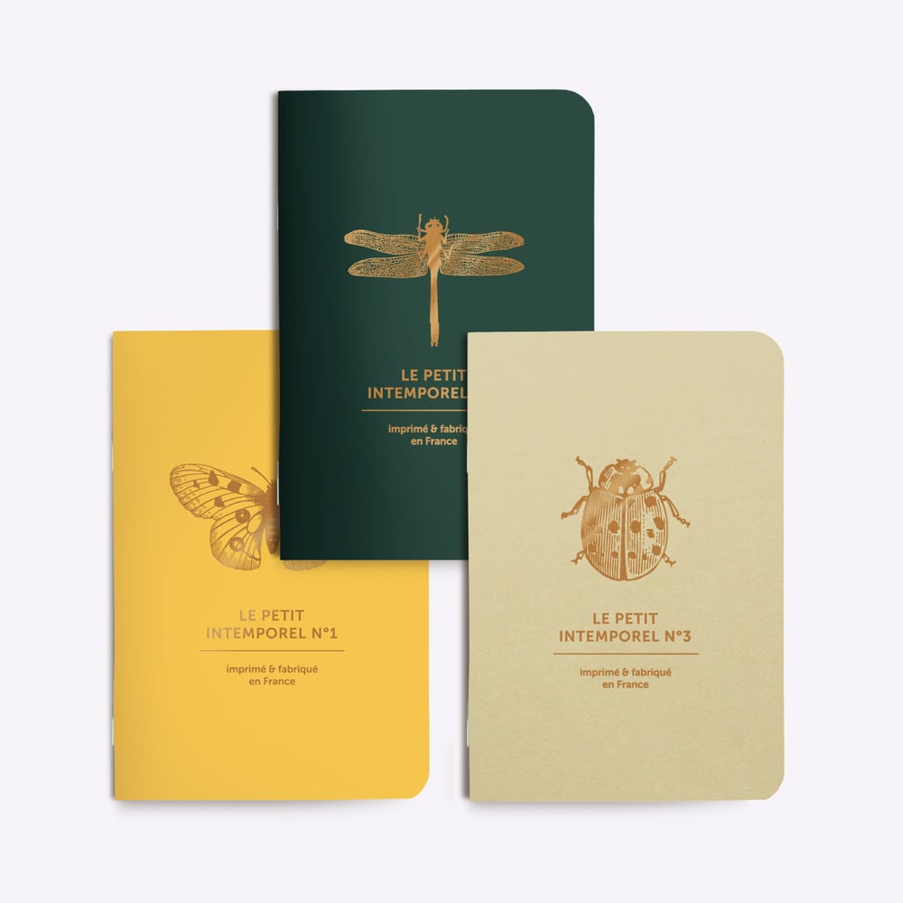 Image of TRIO PETITS CARNETS INTEMPORELS PAPILLONS et Cie