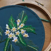 Image 4 of White Blossom 6" Botanical Embroidery Kit